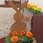 Гостевой дом Euro Panzio 3*