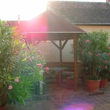 Guest house Euro Panzio
