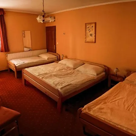 Euro Panzio Guest house 2*