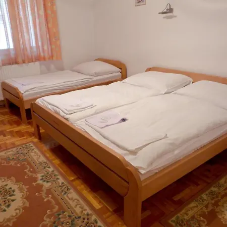 Guest house Euro Panzio 2*
