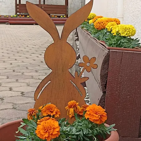 Guest house Euro Panzio 2*