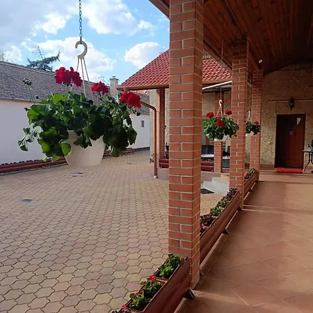 Euro Panzio Guest house Debrecen