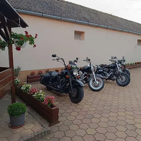 Euro Panzio 3* Debrecen