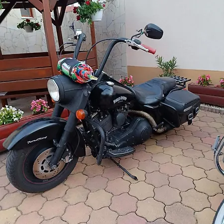 Euro Panzio