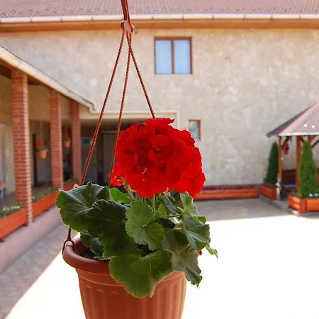 Gæstehus Euro Panzio